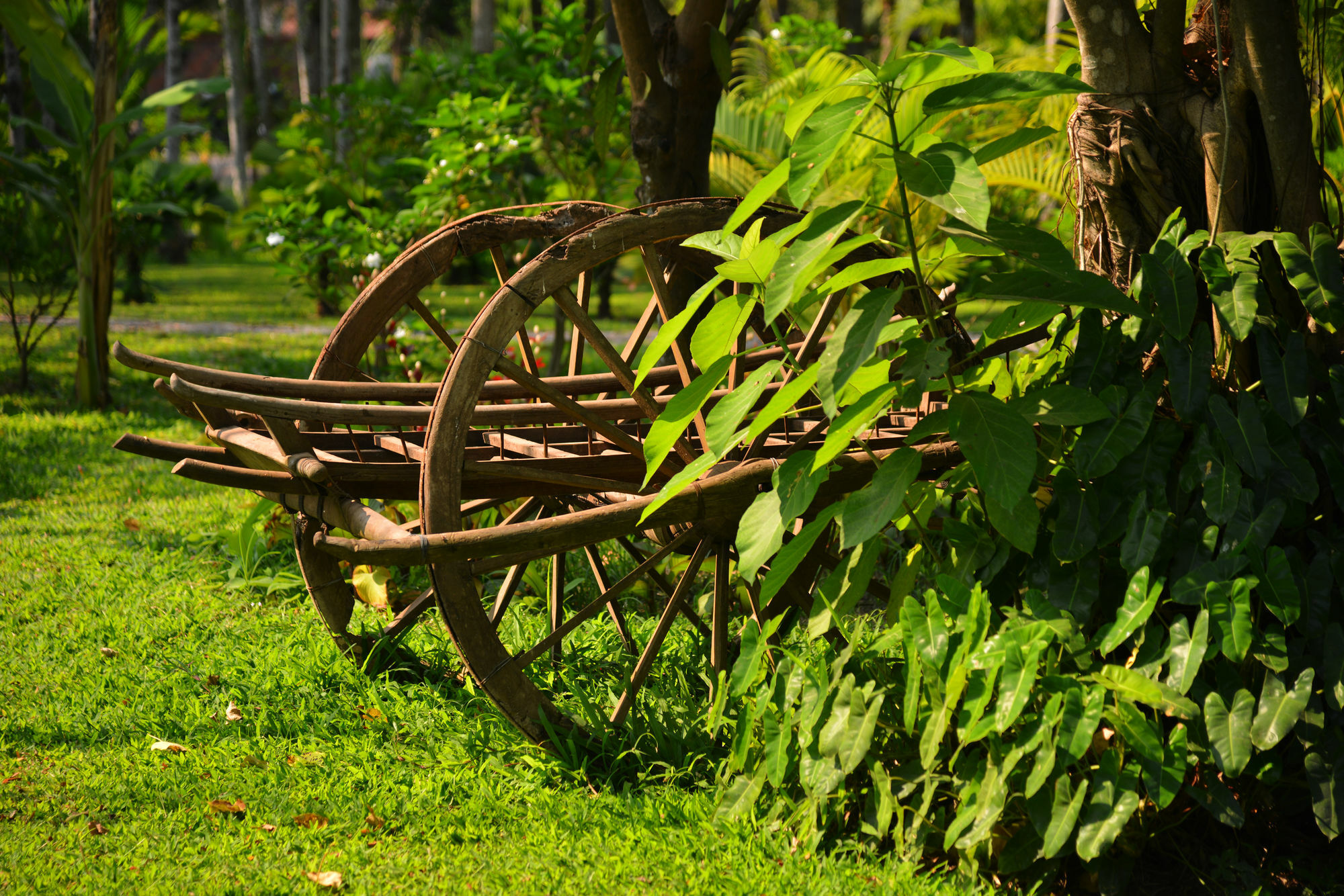 Maison Polanka Siem Reap Exterior photo